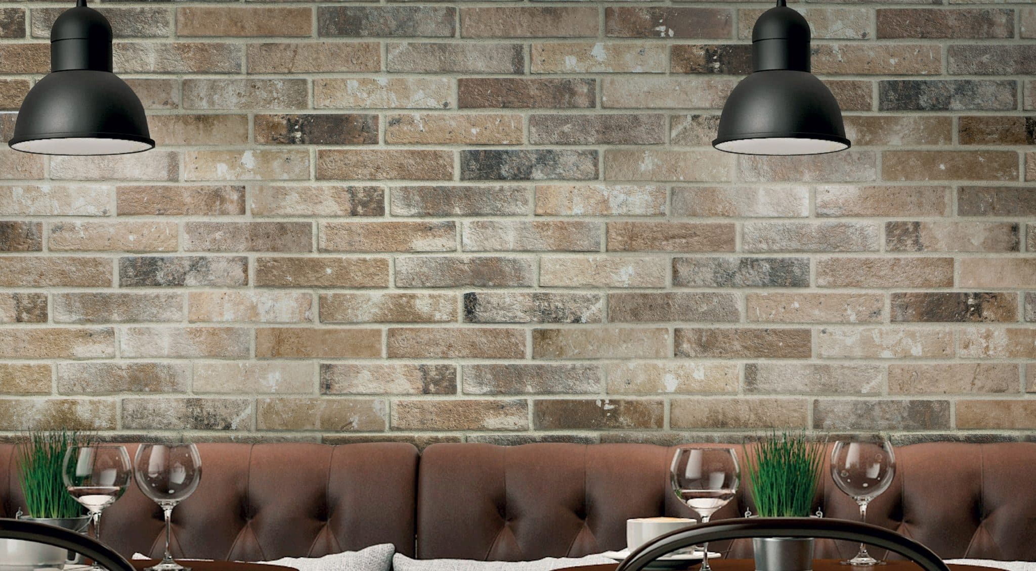 TERRA banner__image_1