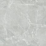 Tortora_600x600-1.jpg