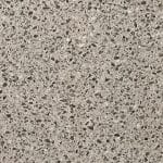 Tortora_600x600-1