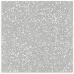 Noble_Grey_600x600